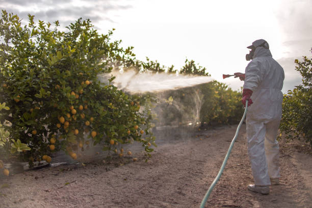 Best Pest Inspection Near Me  in Mililani Town, HI